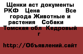 Щенки аст документы РКФ › Цена ­ 15 000 - Все города Животные и растения » Собаки   . Томская обл.,Кедровый г.